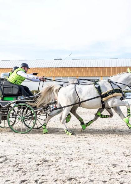 4Foulee Jump&Drive Biskupiec